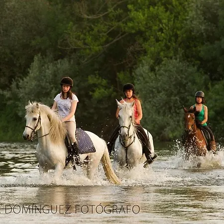 Complejo Oasis Beach Sobre El Rio Huerta  Extérieur photo