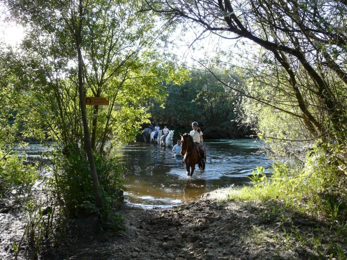 Complejo Oasis Sobre El Rio Huerta (Salamanca)