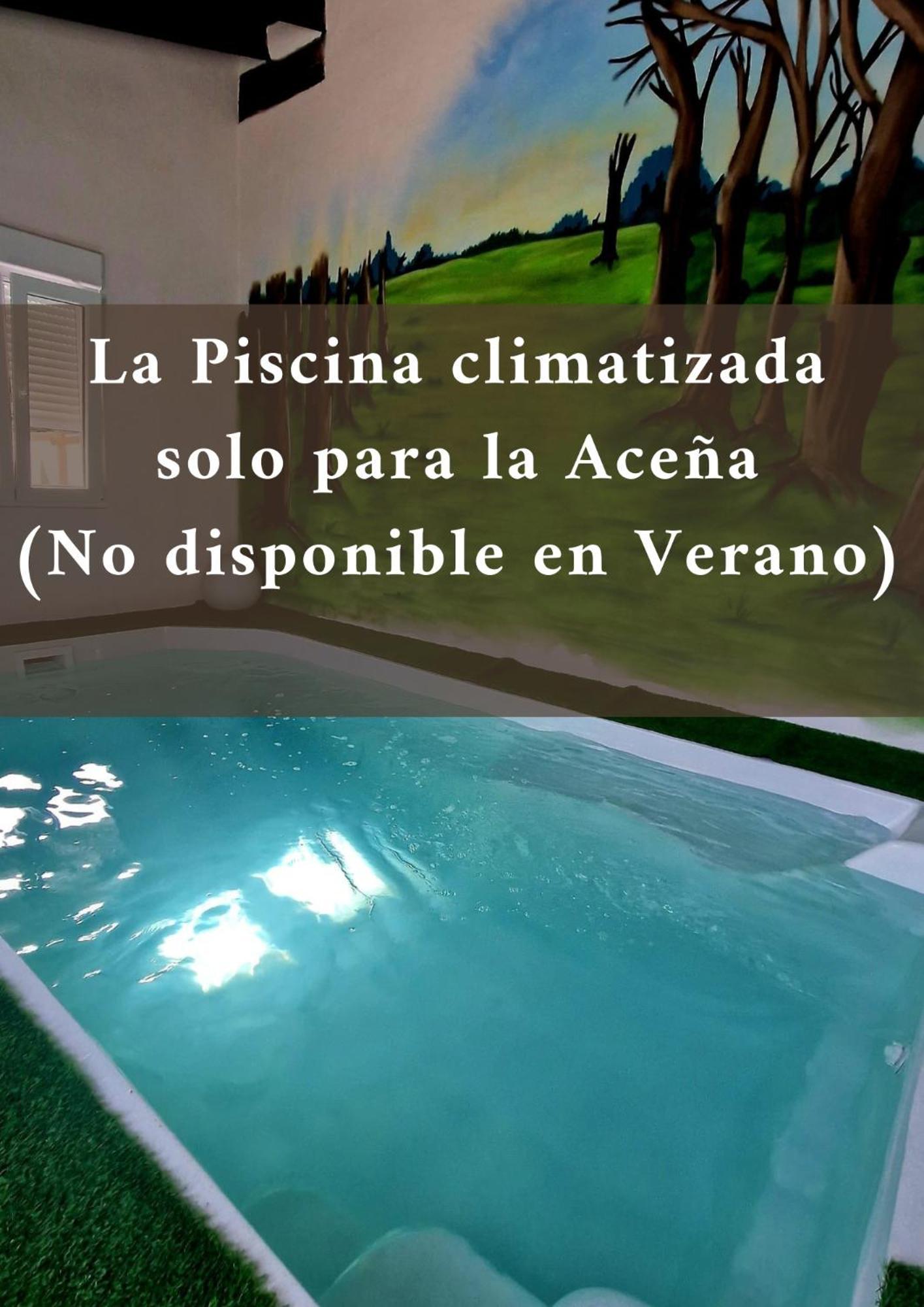 Complejo Oasis Sobre El Rio * Huerta (Salamanca)